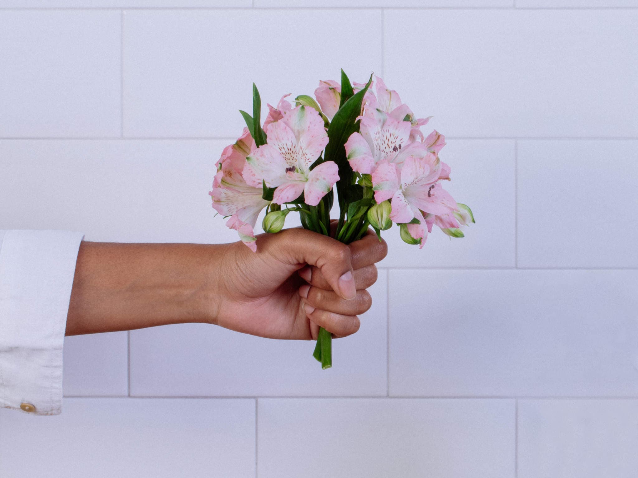 Buquê de Alstroemérias Rosa — Buquê de Alstroemérias Rosa