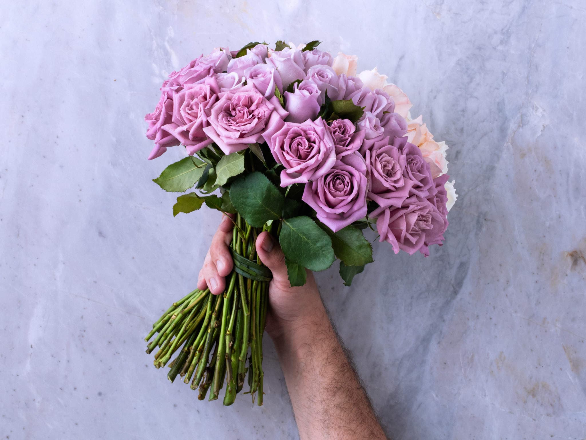 Buquê de 36 Rosas Degradê do Lilás ao Branco Para Entrega — Buquê de 36 Rosas Degradê do Lilás ao Branco Para Entrega