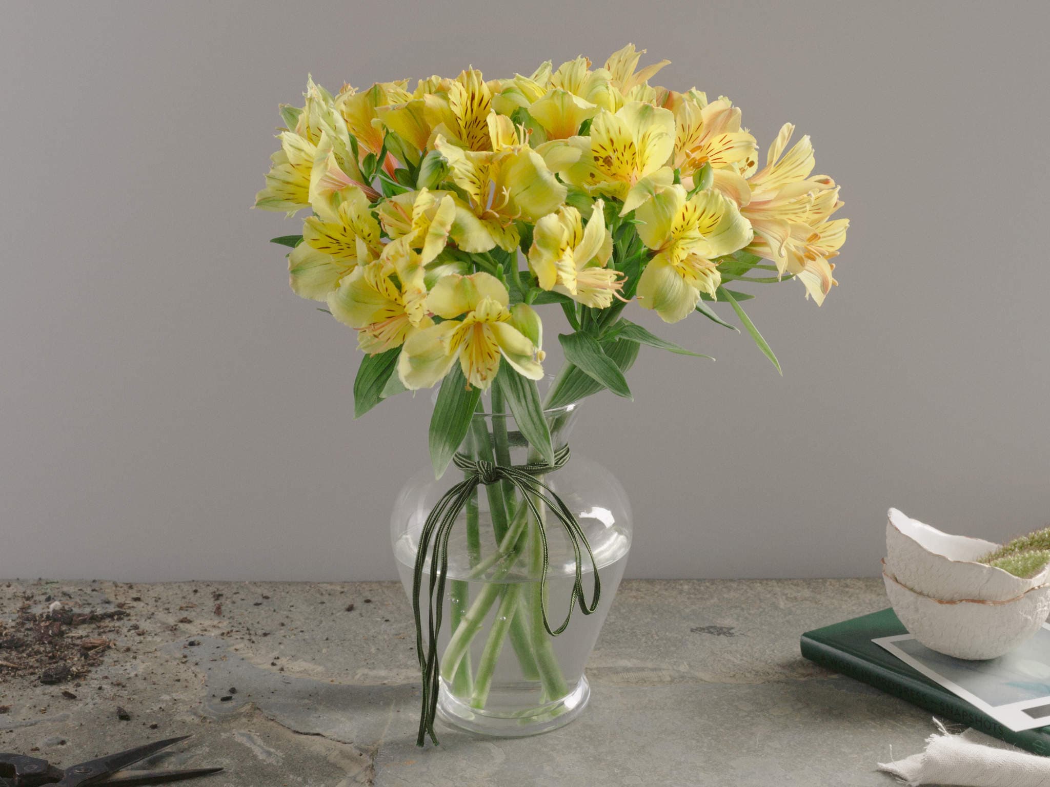 Arranjo de 5 Alstroemérias Amarelas em Vaso de Vidro — Arranjo de 5 Alstroemérias Amarelas em Vaso de Vidro