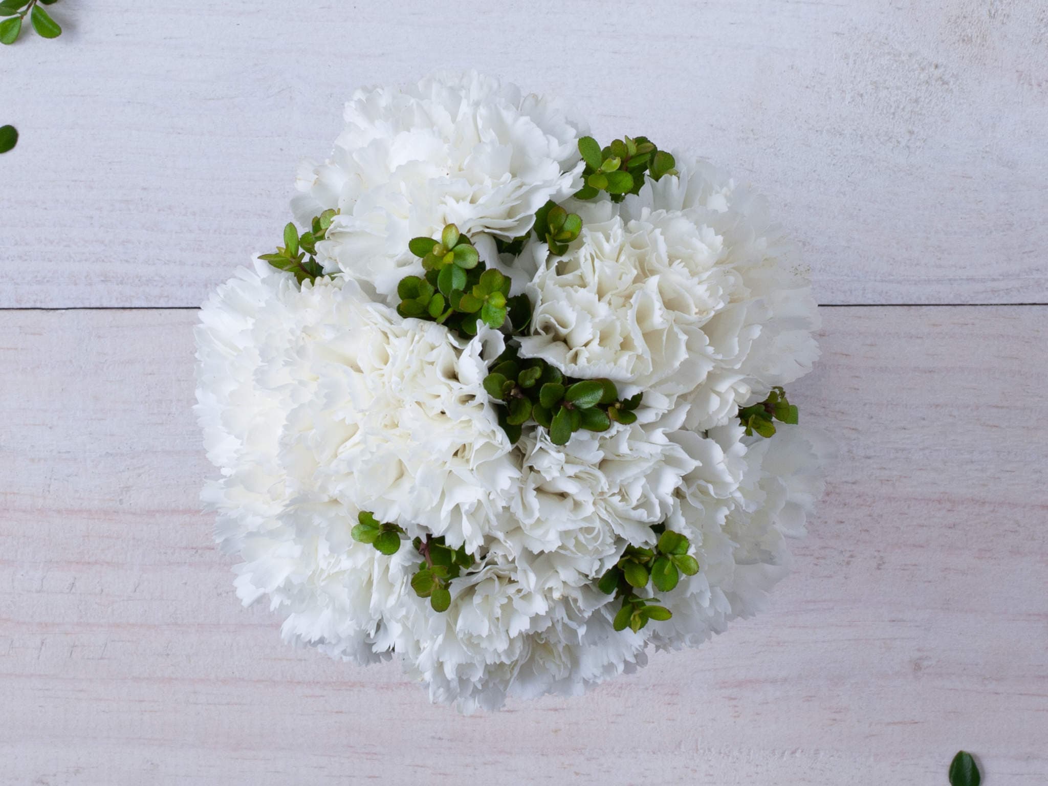 Arranjo de Cravos Brancos em Vaso — Arranjo de Cravos Brancos em Vaso